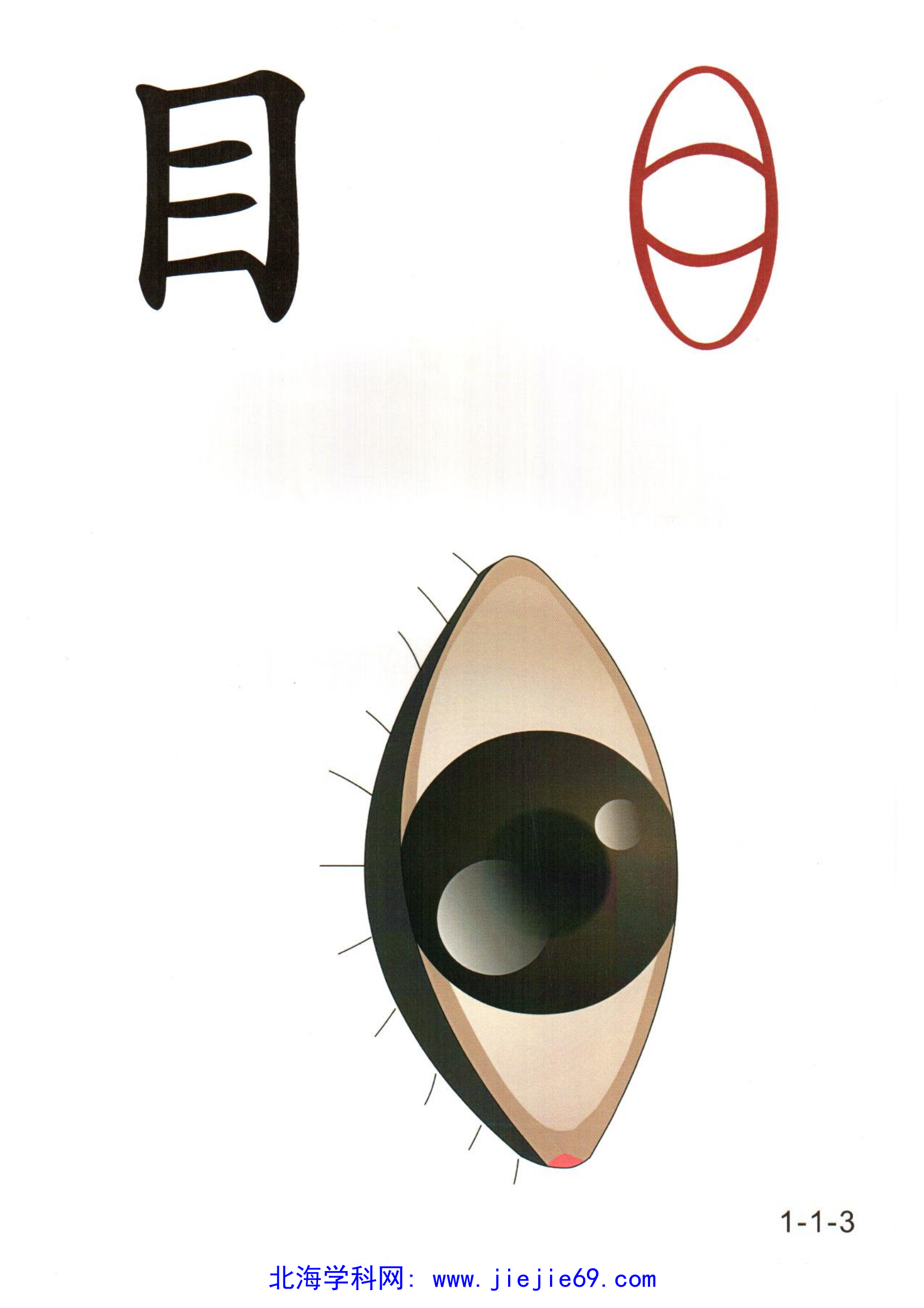 文档预览 第3页