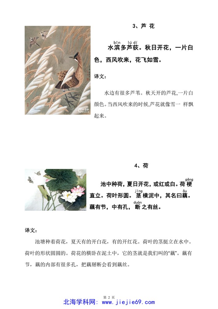 文档预览 第2页