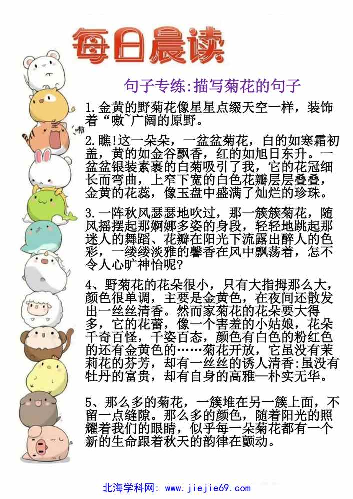 文档预览 第1页