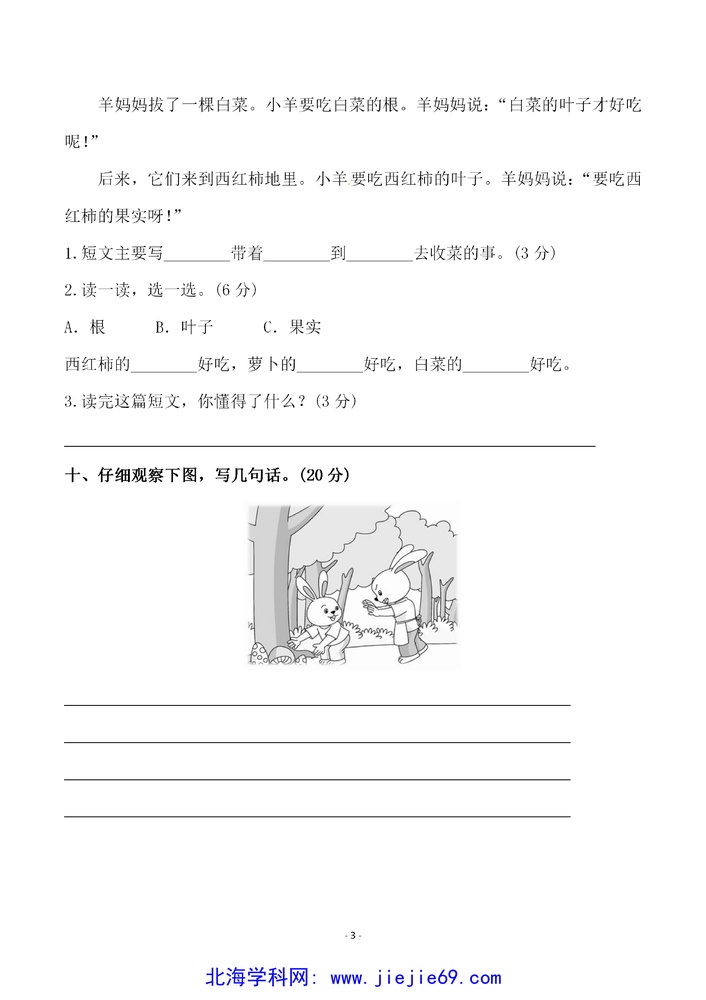 文档预览 第3页
