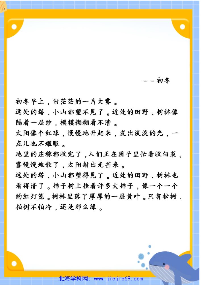 文档预览 第2页